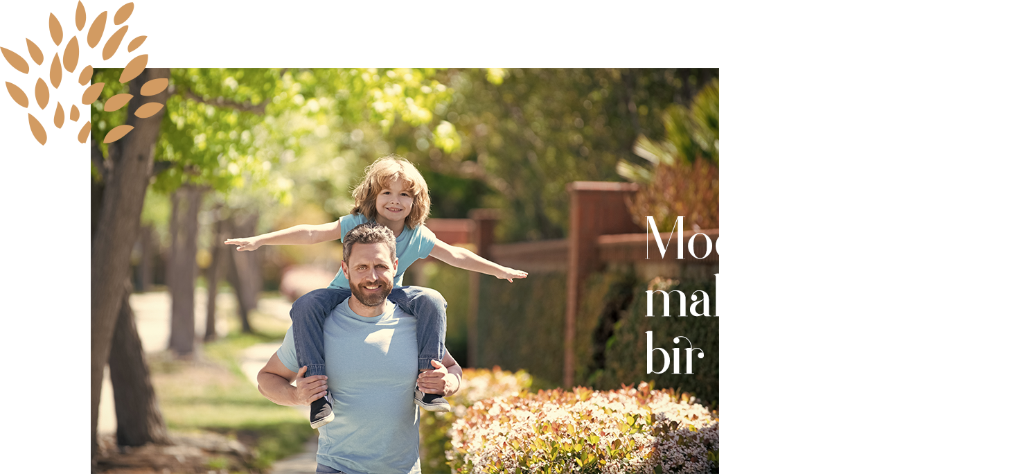 Acıbadem Konakları