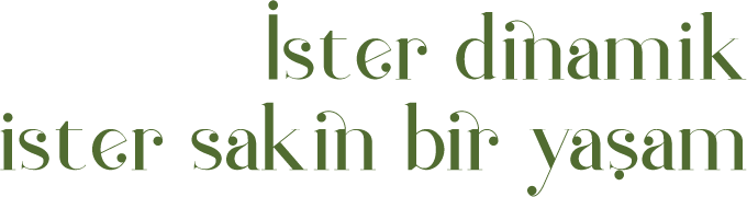 Acıbadem Konakları