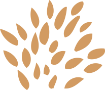 Acıbadem Konakları