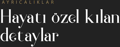 Acıbadem Konakları