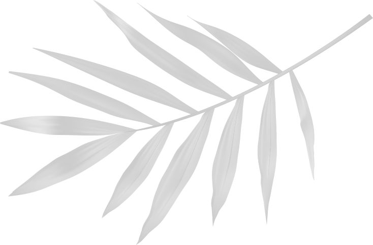 Acıbadem Konakları